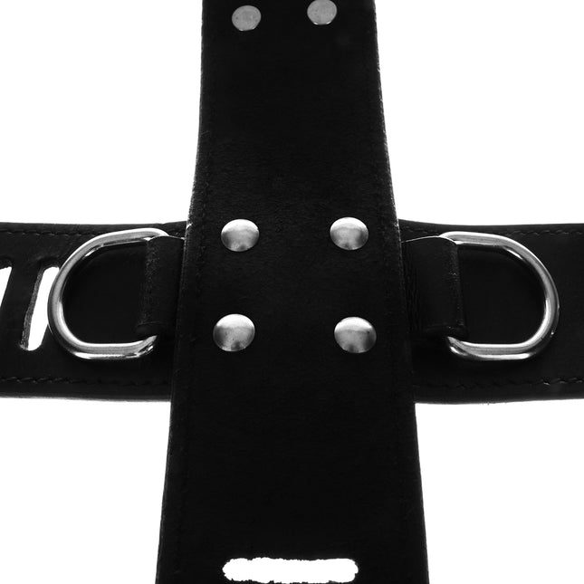 Secure Cross Cuff with D-rings and Locks by Kink