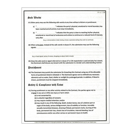 BDSM Contract - Kink Store First Page