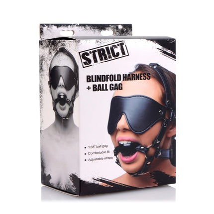 Blindfold Harness and Black Ball Gag