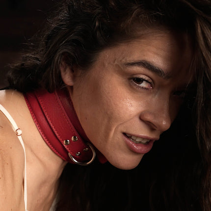 Arched Back Ass Hook to Collar Kit by Kink