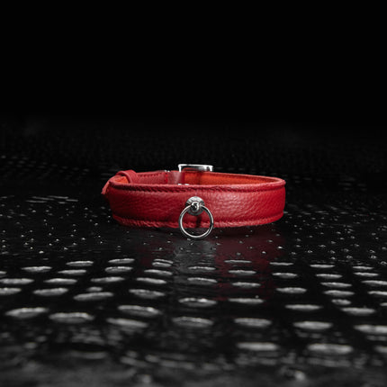 Elegant Premium Leather Collar by Kink