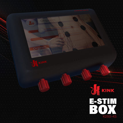 E-Stim Power Box by Kink - BDSM Gear