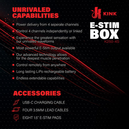 E-Stim Power Box by Kink - BDSM Gear