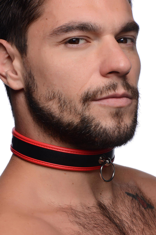 Scarlet Pet Red Collar with O-Ring