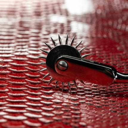 Wartenberg Pinwheel by Kink