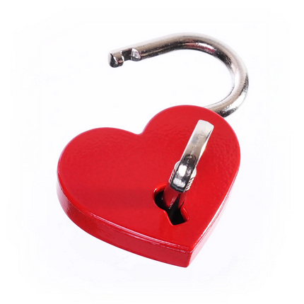 Love Padlocks, Set of 5, by Kink