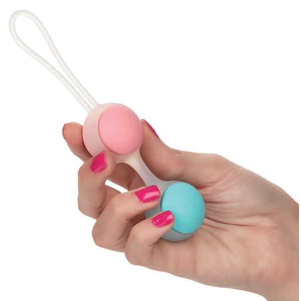 She-ology Interchangeable Weighted Kegel Set - Sex Toys