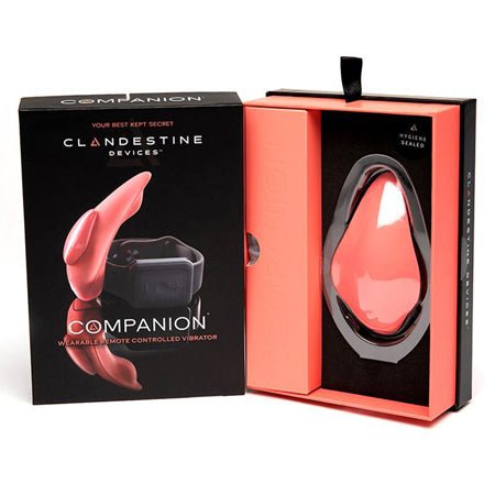 Clandestine Companion Panty Vibe with Watch Remote - Kink Store