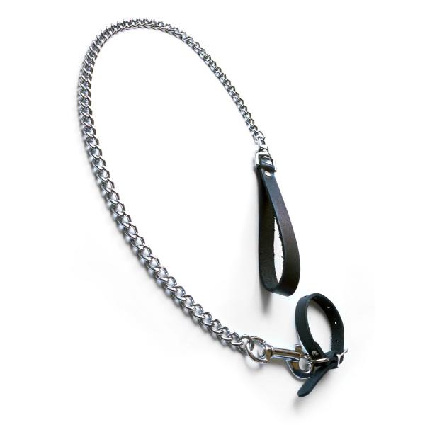 Kinklab Buckling Cock Ring and Chain Leash Set - Kink Store