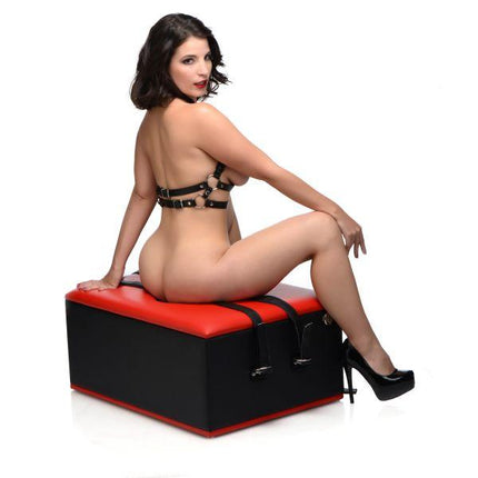 Queening Facesitting Chair - BDSM Gear